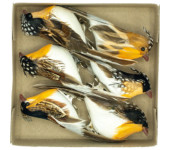 Ptaszki dekoracyjne z klipsem 12cm (6szt.) PTD-6128 ALIGA