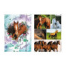 Teczka z gumką A4 STK SWEET HORSES 298952 STARPAK