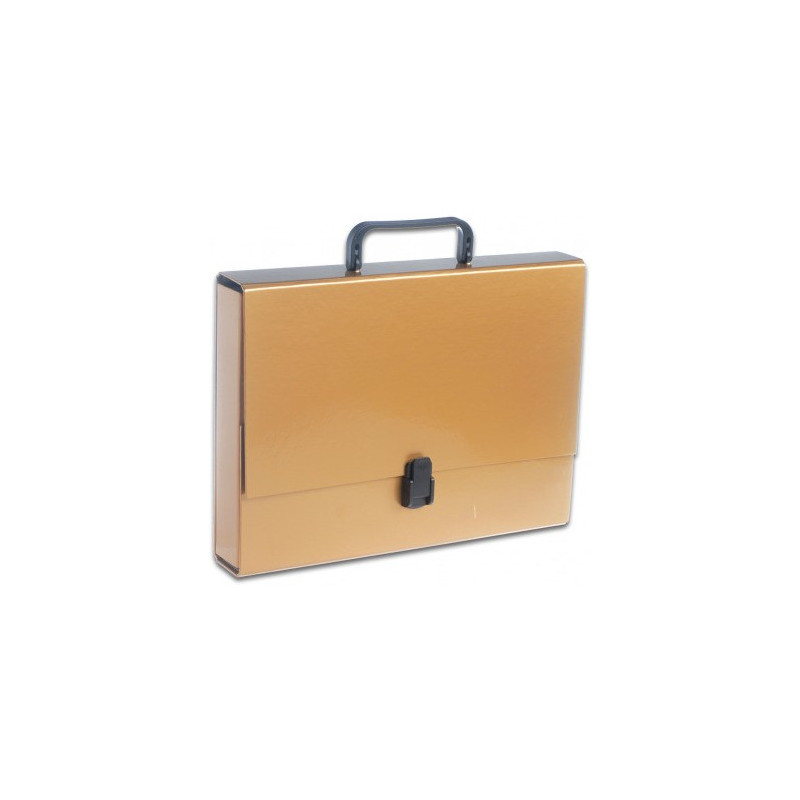 Teczka z rączką A4 5cm złota TT6747