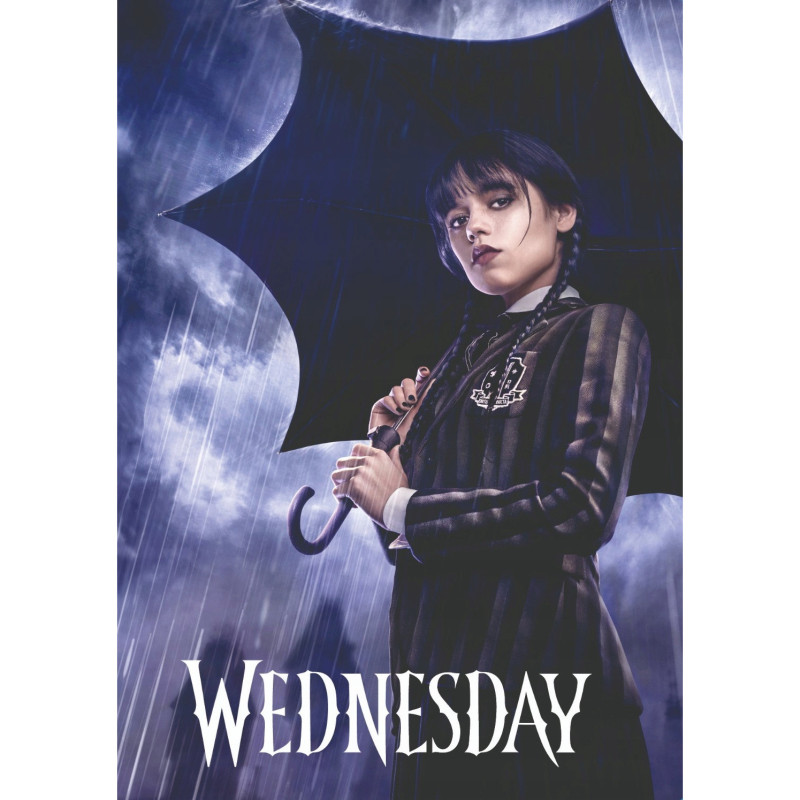 Teczka na dokumenty A4 z gumką WEDNESDAY 108024011 ASTRA