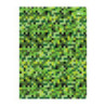 Teczka kartonowa z gumką PIXI zielona 24x31cm HA 7621 2431-PI03 HAPPY COLOR