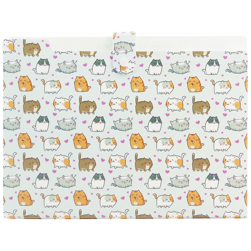 Teczka harmonijkowa A4 PP 5 przegródek z nadrukiem KITTENS THN-A4-35 BIURFOL