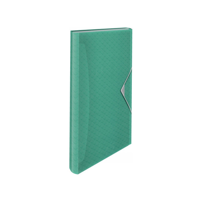 Teczka z przegródkami zielona ESSELTE COLOURICE 626253