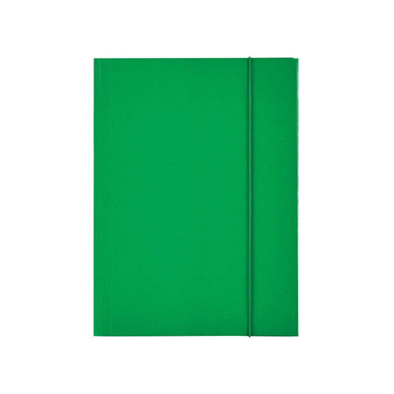 Teczka lakierowana z gumką A4 zielona ESSELTE 13437