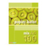 Papier ksero A4 80g KRESKA 100ark mix