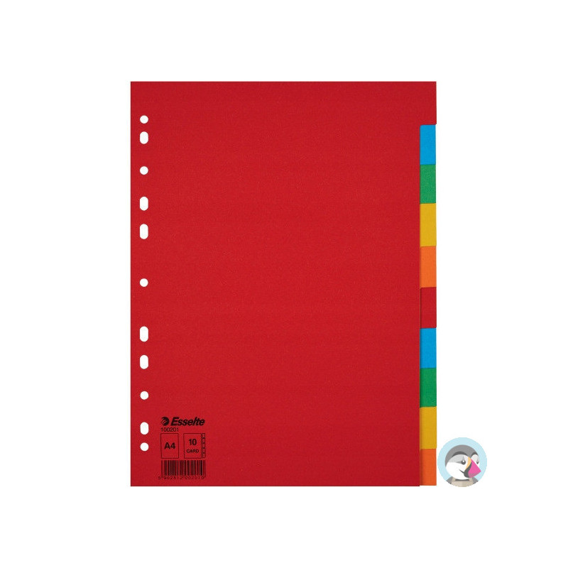 Przekładki karton A4 10 kart ESSELTE 100201 kolorowe bez karty opisowej