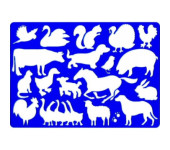 Szablon FARMA 9820/2 KOH-I-NOOR