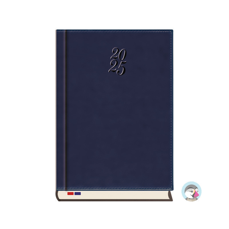 Terminarz B5 Konsul T-243N-57 Michalczyk i Prokop