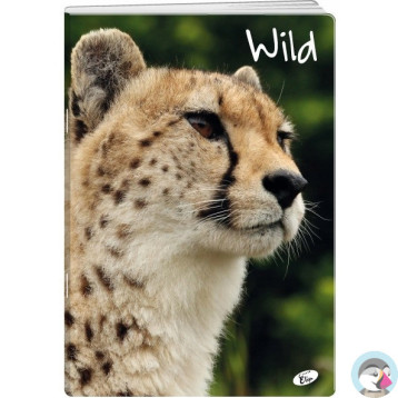 Zeszyt A5 32k kratka okładka miękka WILD EL-M6-032-KA5 ELISA