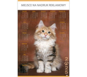 Kalendarz Plakatowy B1, P18 PIES I KOT 67x98cm TELEGRAPH
