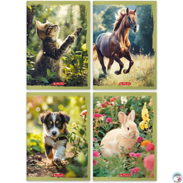 Zeszyt A4 32k 3linia ANIMALS 400197965 HERLITZ Zeszyt A4 32k 3linia ANIMALS 400197965 HERLITZ