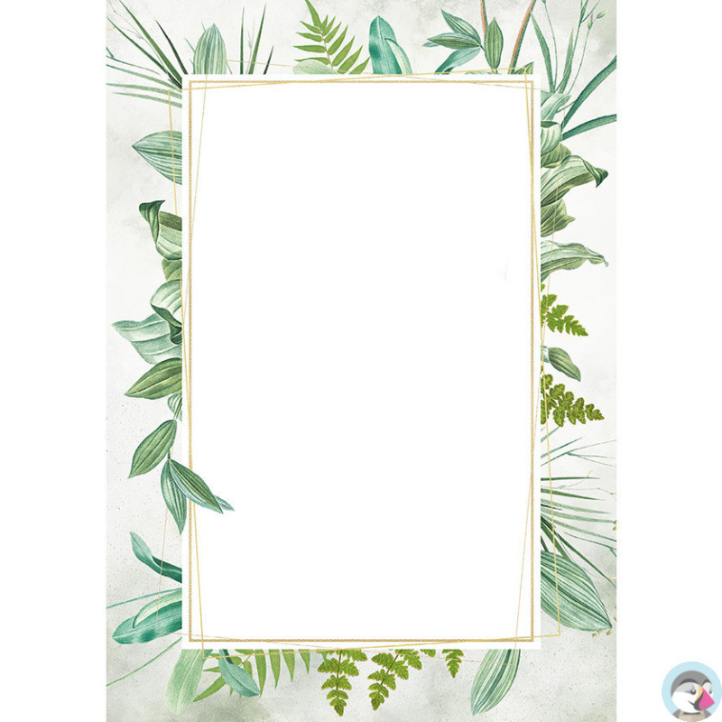 Dyplom A4 BOTANIC 170g (25ark) 219617 GALERIA PAPIERU