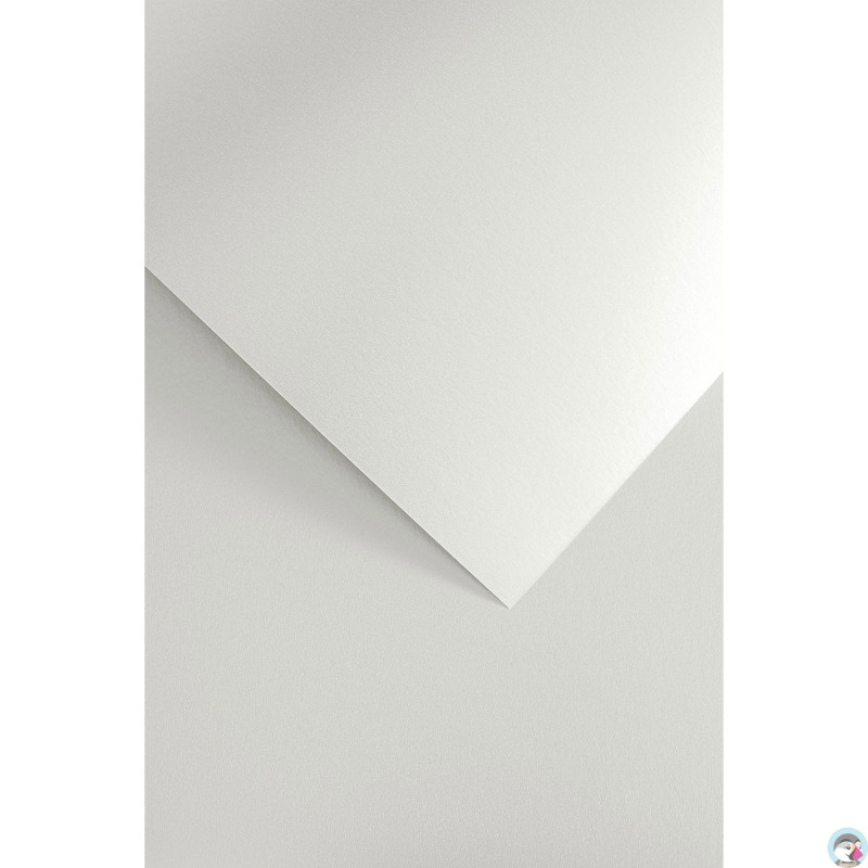 Karton ozdobny MILLENIUM diamentowa biel A4 (20ark.) 250g 200751 Galeria Papieru