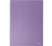 Kołonotatnik Colour`Breeze A4 w kratkę lawendowy 628479 ESSELTE