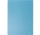 Kołonotatnik Colour`Breeze A4 w kratkę niebieski 628476 ESSELTE