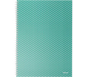 Kołonotatnik Colour`Breeze A4 w kratkę zielony 628477 ESSELTE
