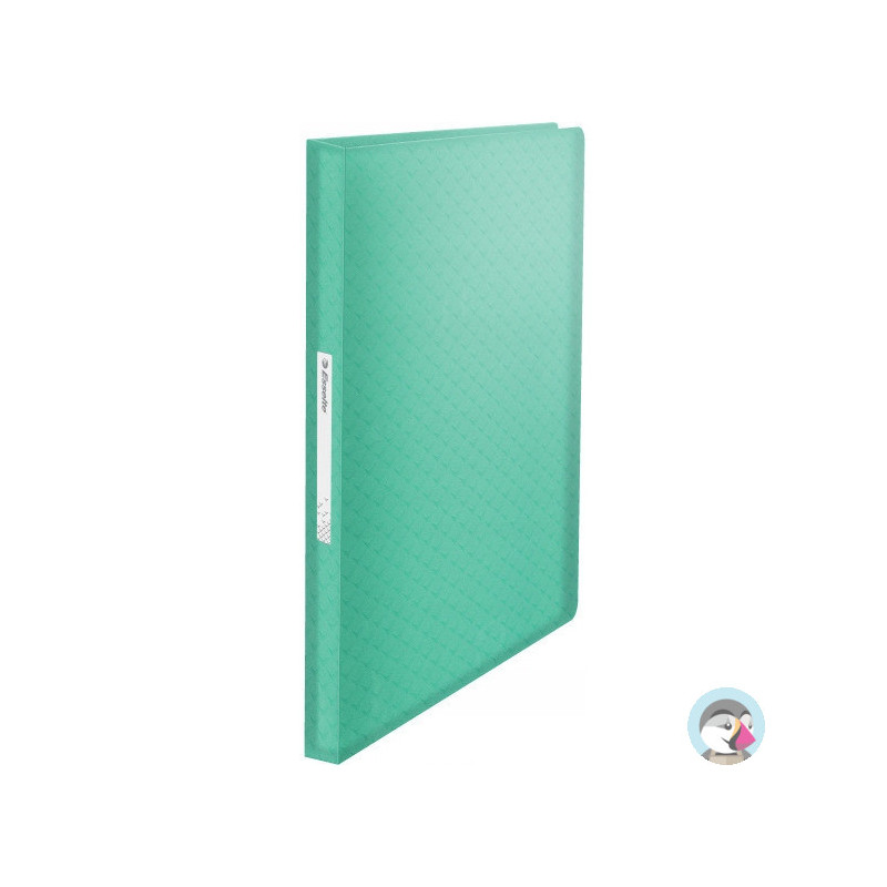 Album ofertowy na dokumenty A4 80 kieszeni Colour`Breeze zielony 626238 ESSELTE