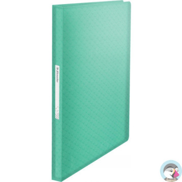 Album ofertowy na dokumenty A4 80 kieszeni Colour`Breeze zielony 626238 ESSELTE