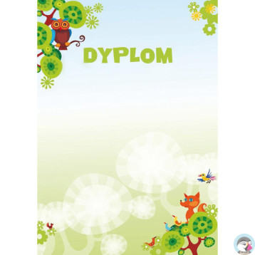 Dyplom A4 BAJKA 170g (25ark) 211217 GALERIA PAPIERU