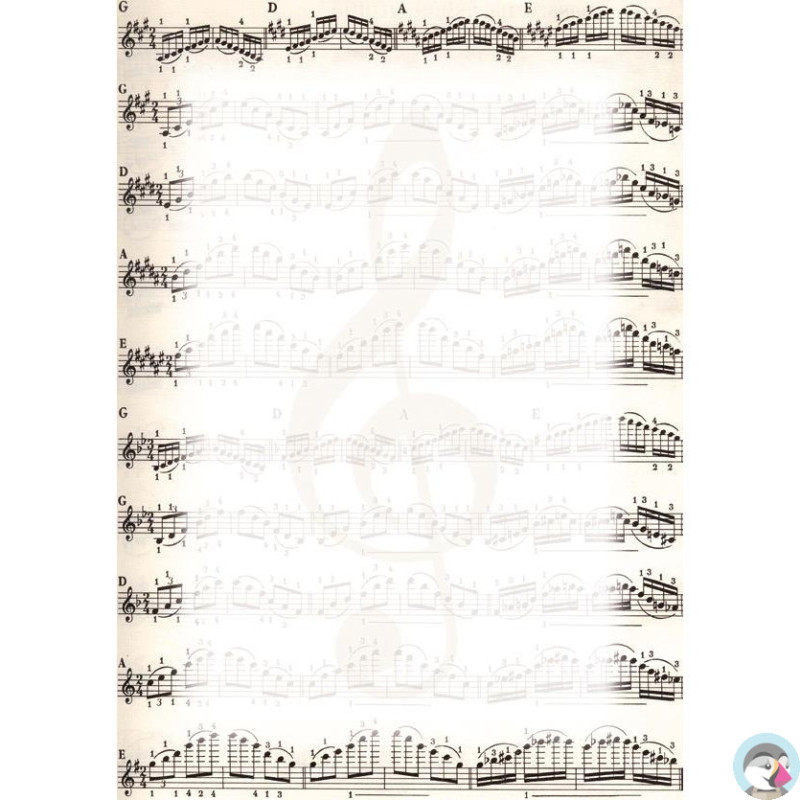 Dyplom A4 NUTY 170g. (25ark.) 213317 Galeria Papieru