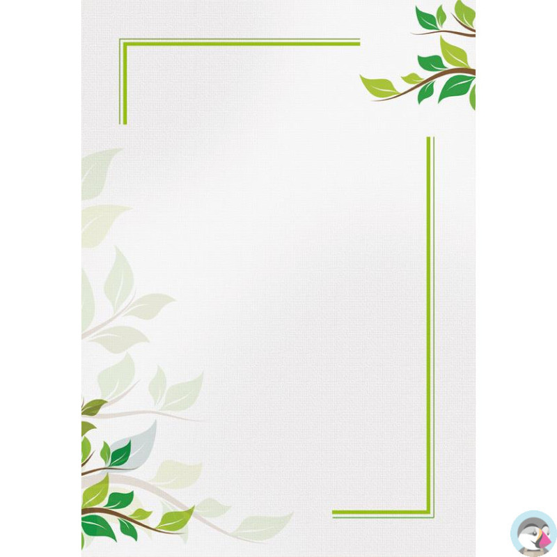 Dyplom A4 GREEN 170g (25ark) 218917 GALERIA PAPIERU