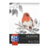 Blok rysunkowy A3 szkicownik 25 kartek 200g klejony 400166122 OXFORD