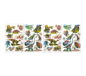 Naklejki 3d Dinozaury CLA9 BREWIS