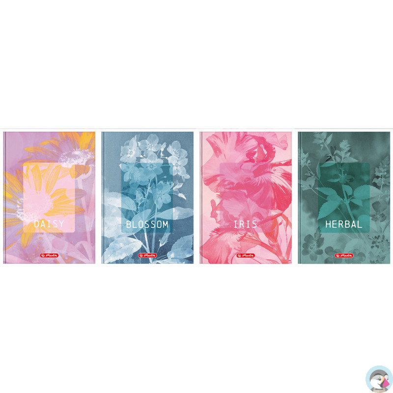 Brulion A5 96k kratka z marginesem BLOSSOM 400206436 HERLITZ