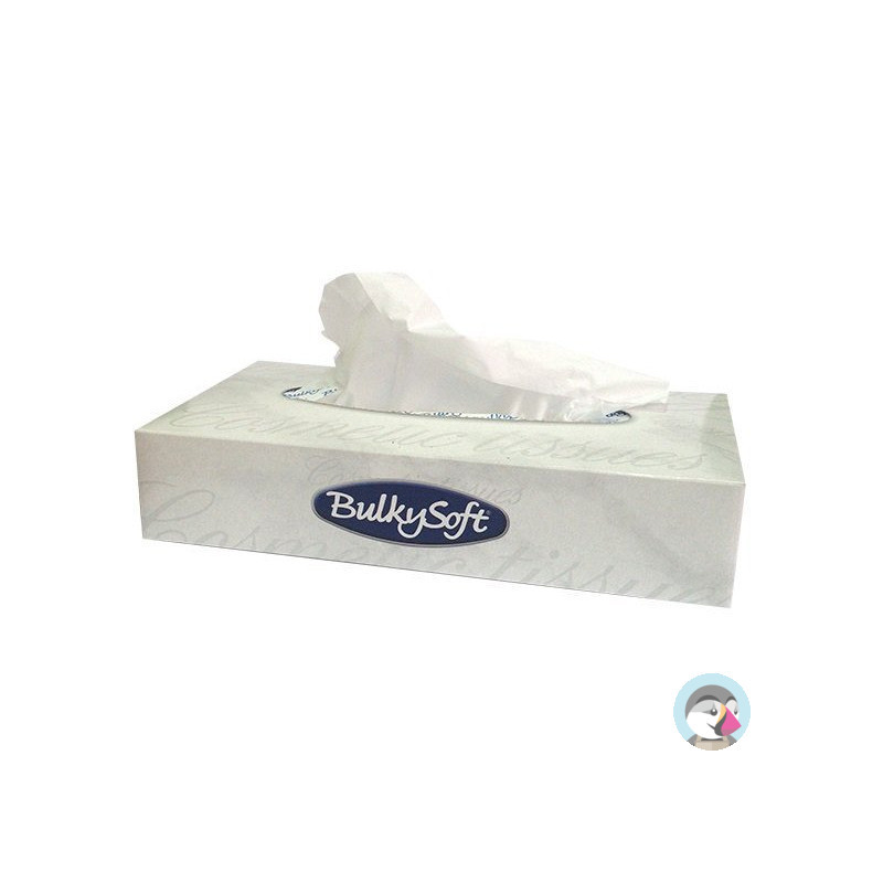 Chusteczki higieniczne BULKYSOFT 100sztuk 2 warstwy 68100