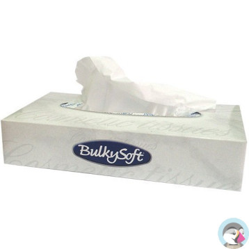 Chusteczki higieniczne BULKYSOFT 100sztuk 2 warstwy 68100