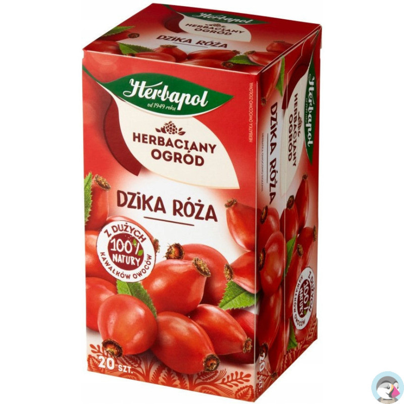 Herbata HERBAPOL owocowo-ziołowa (20 tb) Dzika Róża 70g HERBACIANY OGRÓD