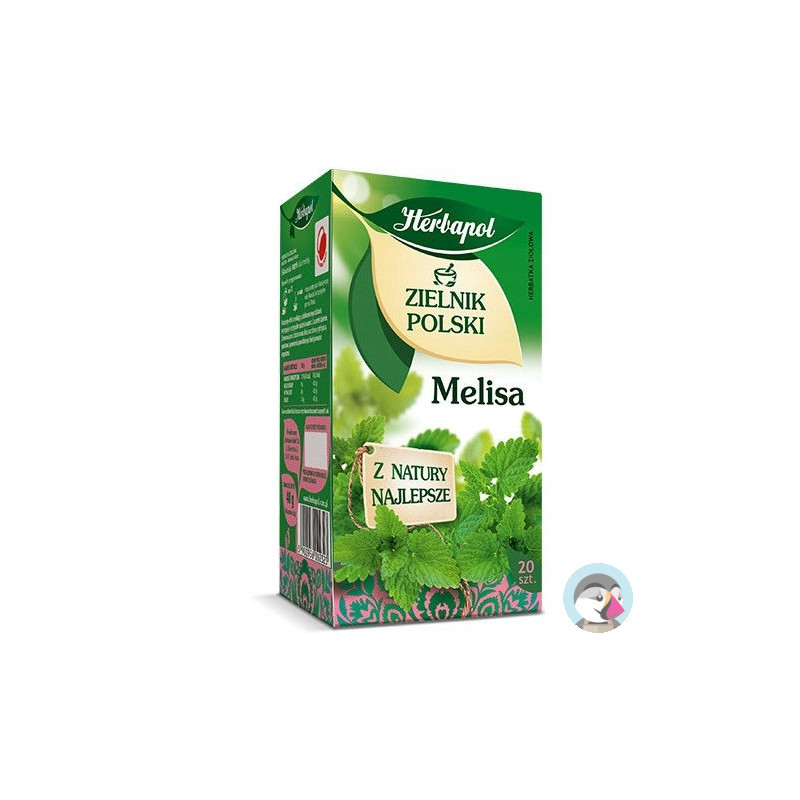 Herbata HERBAPOL ZIELNIK POLSKI (20 torebek) melisa