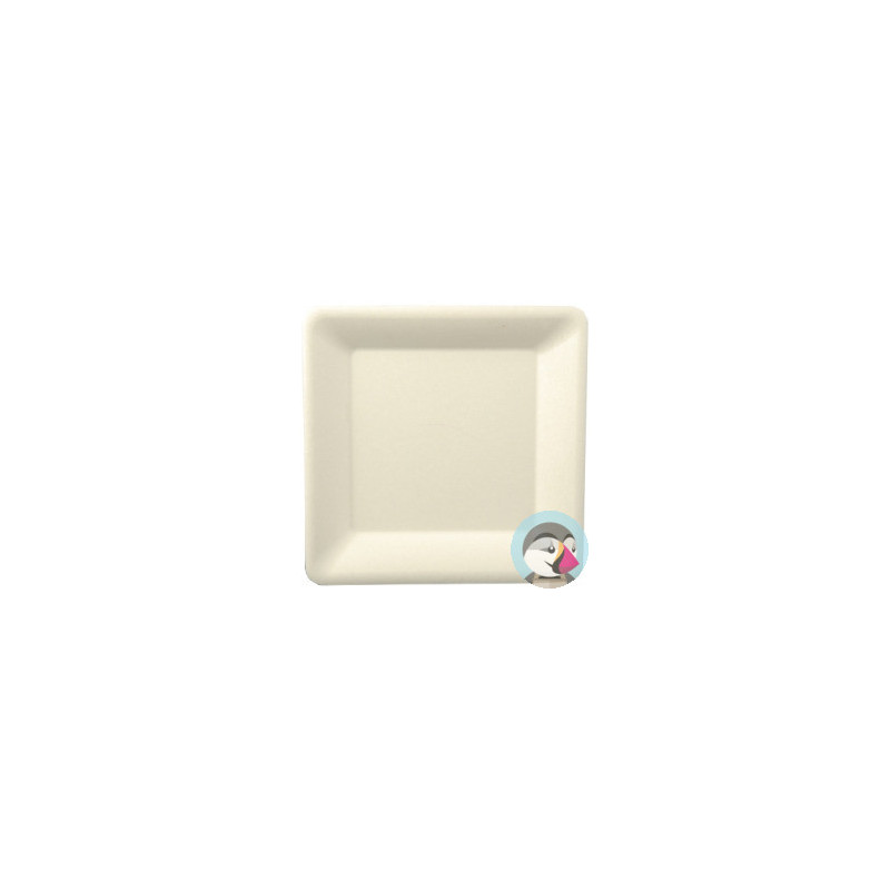 Talerz z trzciny cukrowej kwadratowy 16x16cm biały (50szt) 29303/3221