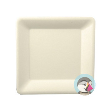 Talerz z trzciny cukrowej kwadratowy 16x16cm biały (50szt) 29303/3221