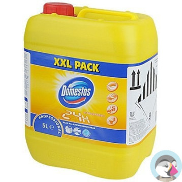 Płyn do mycia WC DOMESTOS 5l Citrus fresh