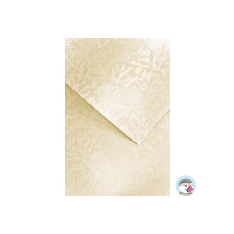 Karton ozdobny A4 OLYMPIA kremowy 220g (20) 203422 GALERIA PAPIERU