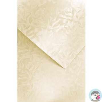 Karton ozdobny A4 OLYMPIA kremowy 220g (20) 203422 GALERIA PAPIERU