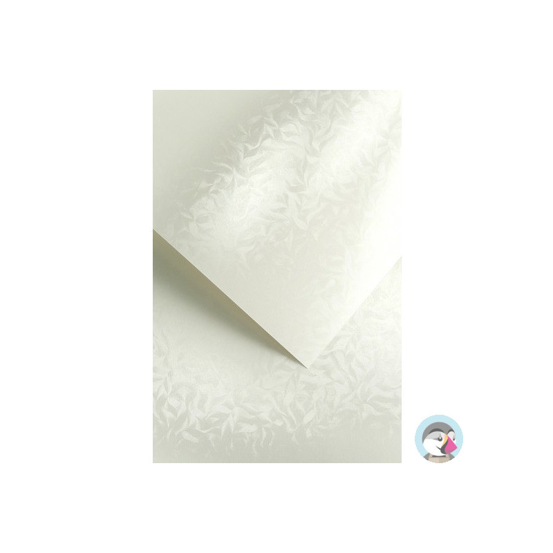 Karton ozdobny A4 OLYMPIA perłowa biel 220g (20) 203403 GALERIA PAPIERU