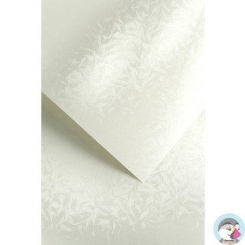 Karton ozdobny A4 OLYMPIA perłowa biel 220g (20) 203403 GALERIA PAPIERU