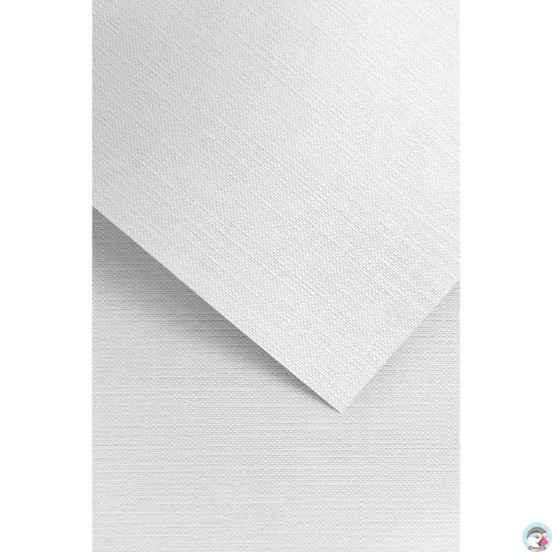 Karton ozdobny A4 RYPS biały 240g. (20ark.) 201811 Galeria Papieru
