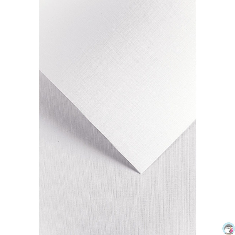 Karton ozdobny A4 KRATKA biały 220g. (20ark.) 201631 Galeria Papieru