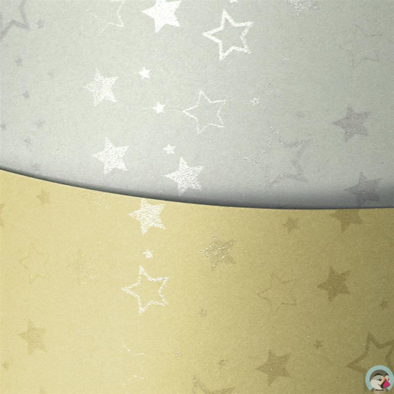 Karton ozdobny A4 STARS srebrny 220g (20ark.) 204305 Galeria Papieru