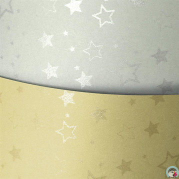 Karton ozdobny A4 STARS srebrny 220g (20ark.) 204305 Galeria Papieru