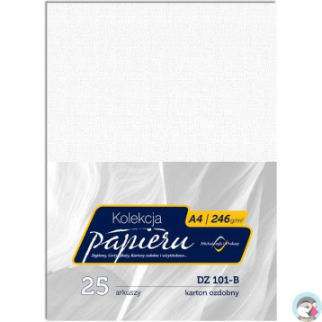 Karton wizytówkowy A4 246g DZ101-B (25) MICHALCZYK I PROKOP