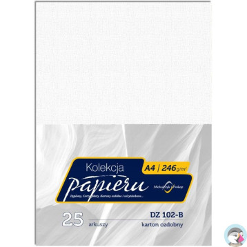 Karton wizytówkowy A4 246g DZ102-B (25) MICHALCZYK I PROKOP