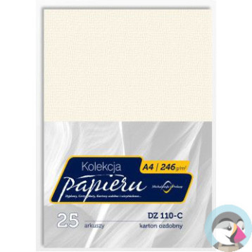Karton wizytówkowy A4 246g DZ110-C (25) MICHALCZYK I PROKOP
