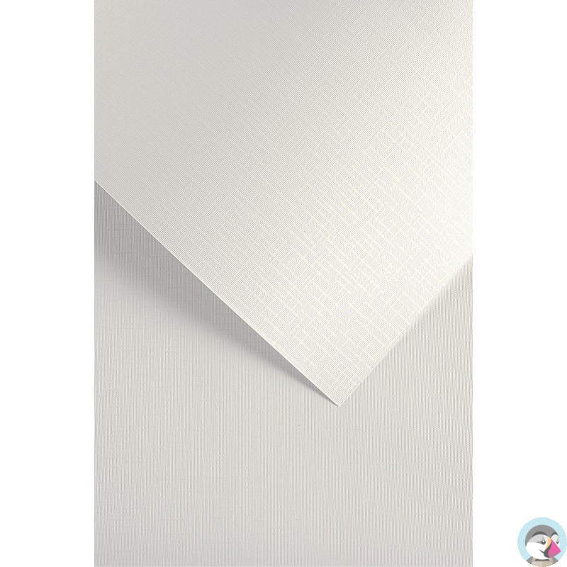 Karton ozdobny Sukno biały 230g. (20szt.) 204211 Galeria Papieru