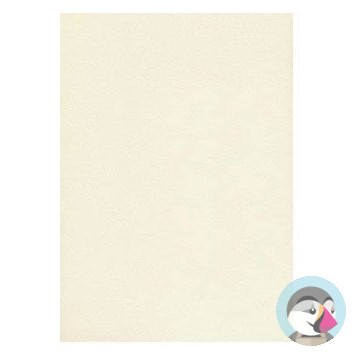 Karton wizytówkowy A4 tłoczony ecrue W20 (20) 200g KRESKA
