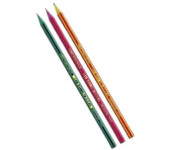 Ołówek EVOLUTION 646 HB 918487 BIC