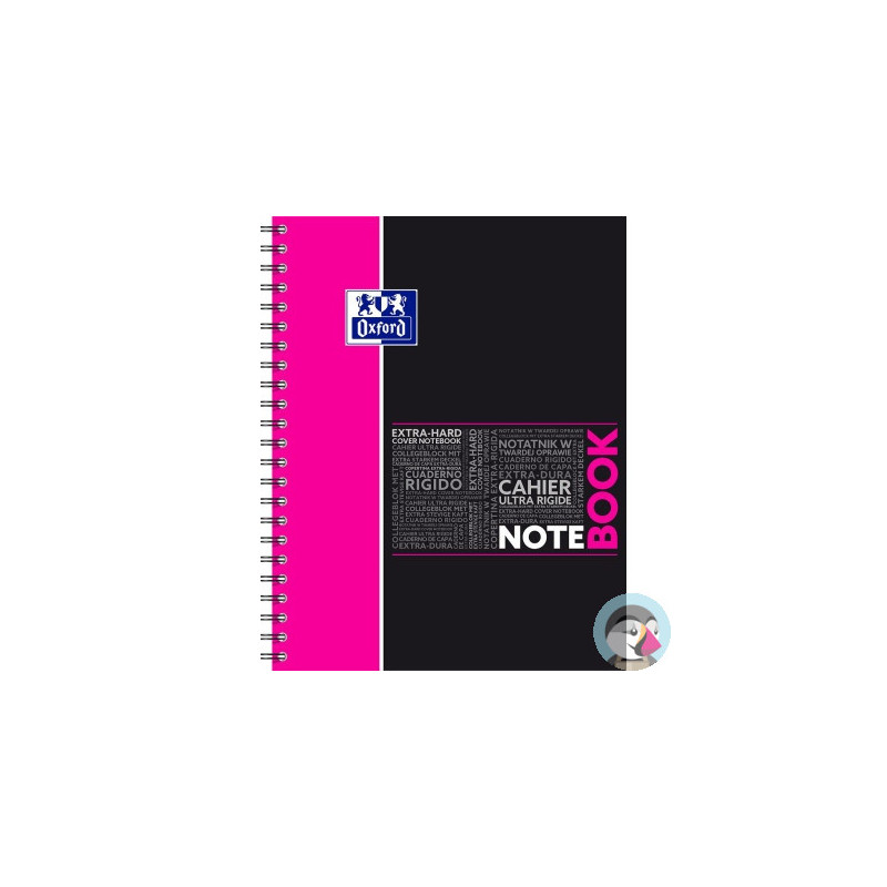 Kołozeszyt A4 80k kratka NOTEBOOK mix kolor 400037406 OXFORD